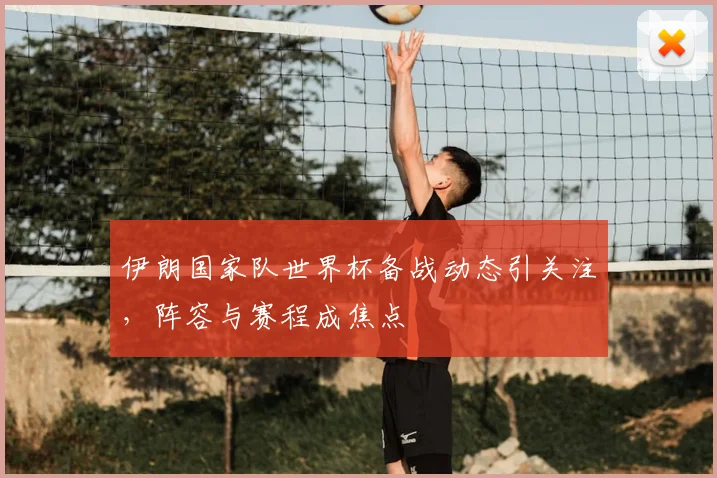 伊朗国家队世界杯备战动态引关注，阵容与赛程成焦点