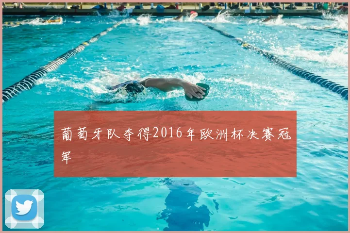 葡萄牙队夺得2016年欧洲杯决赛冠军