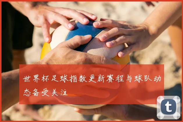 世界杯足球指数更新赛程与球队动态备受关注