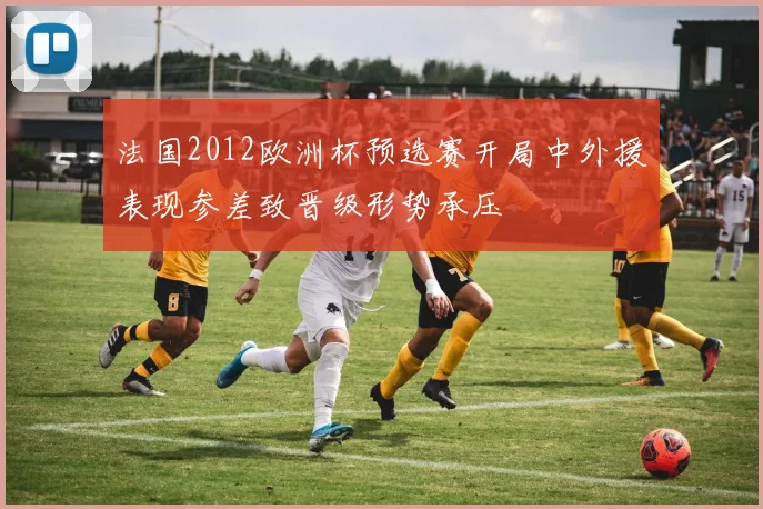 法国2012欧洲杯预选赛开局中外援表现参差致晋级形势承压