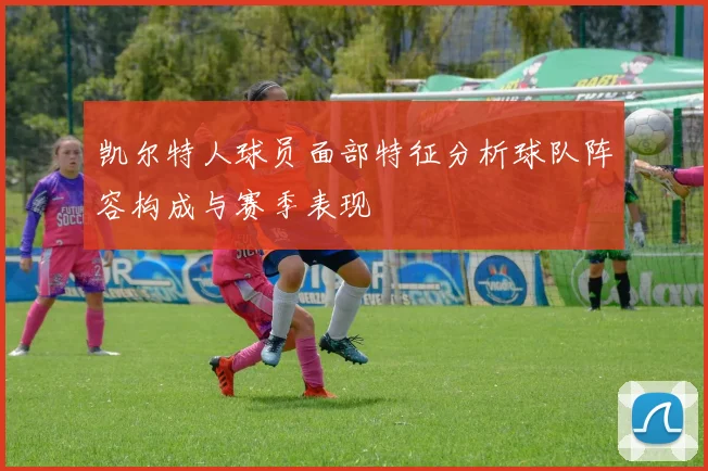 凯尔特人球员面部特征分析球队阵容构成与赛季表现